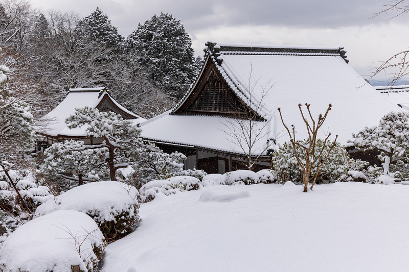 雪の滋賀2021　百済寺・庭園編_f0155048_00083829.jpg