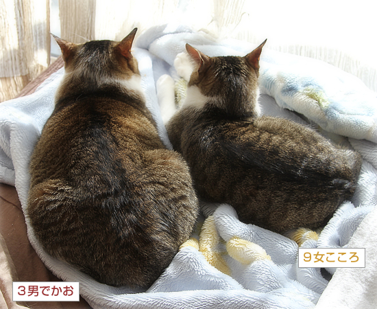 大人になったね_a0389088_18202833.jpg