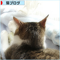 大人になったね_a0389088_18202945.jpg