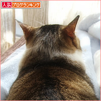 大人になったね_a0389088_18202999.jpg