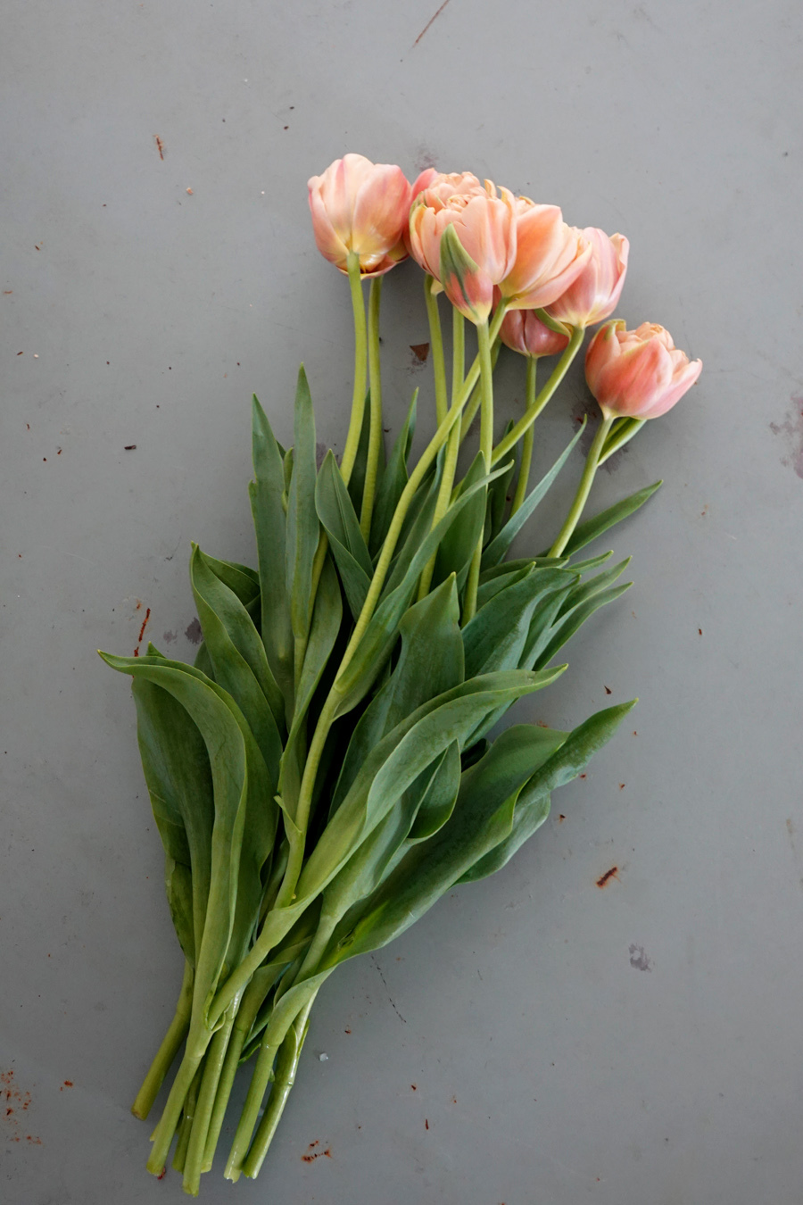 ラ・ベル・エポック : PASSAGE