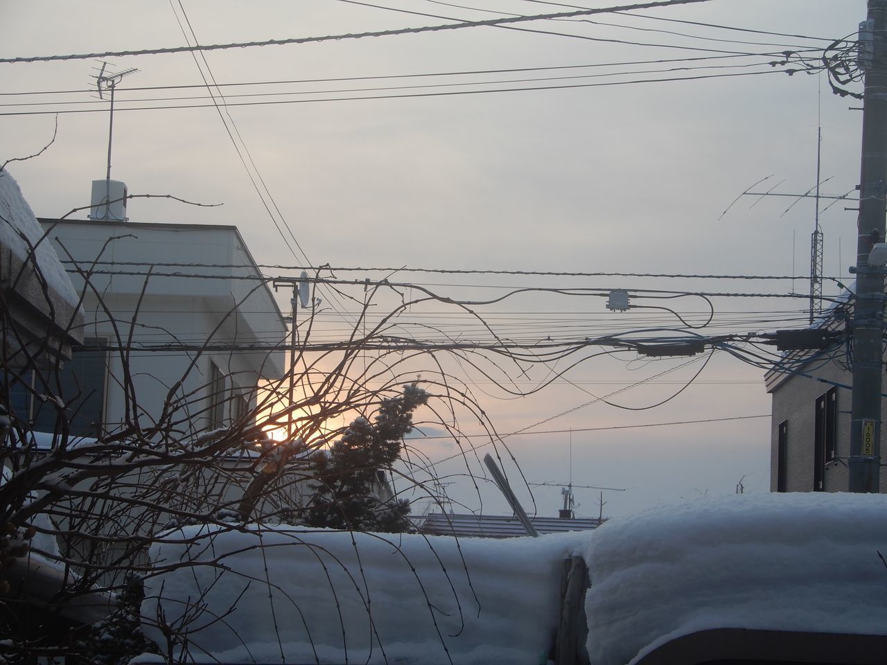 2月最初の日曜日_c0025115_21204550.jpg
