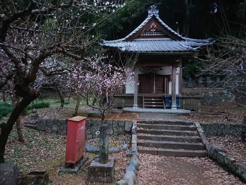 R3 2 7実相寺から岩本山公園へのハイキングコースを紹介します 風 鳴 記