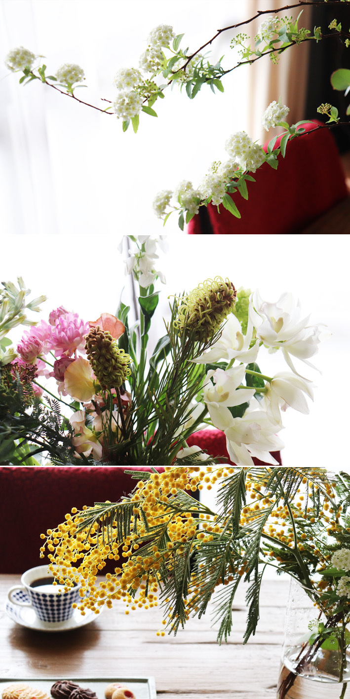 春花祭り_d0351435_21502764.jpg