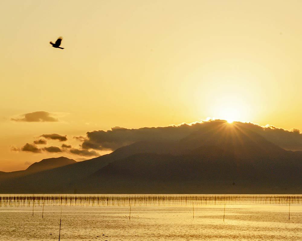 ✔ 海苔ひびの夕景②＝玉名市_d0238245_11353973.jpg