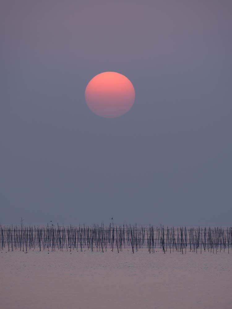 ✔ 海苔ひびの夕景③＝宇土市_d0238245_20550698.jpg