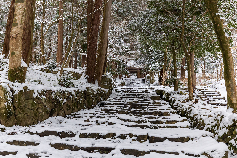 雪の滋賀2021　百済寺・本堂編_f0155048_21405227.jpg