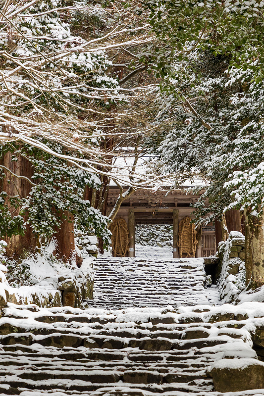 雪の滋賀2021　百済寺・本堂編_f0155048_21410183.jpg