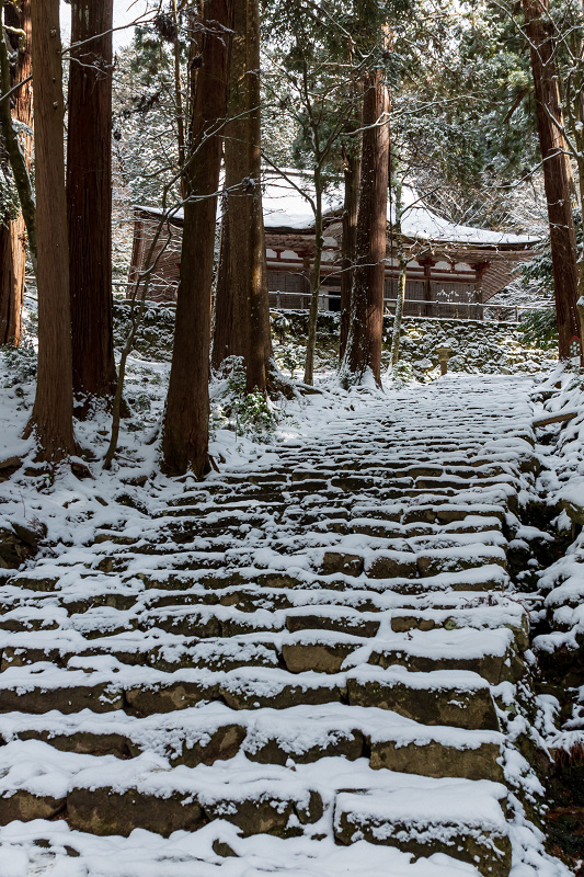 雪の滋賀2021　百済寺・本堂編_f0155048_21420516.jpg
