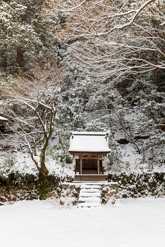 雪の滋賀2021　百済寺・本堂編_f0155048_21424623.jpg