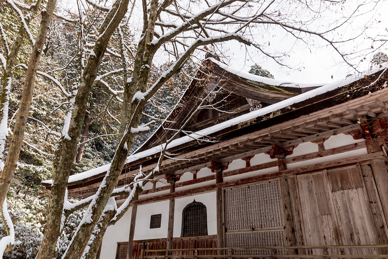 雪の滋賀2021　百済寺・本堂編_f0155048_21425186.jpg