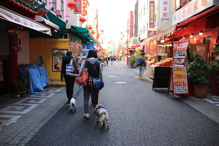 今年に入って・・・。_d0155952_12180480.jpg