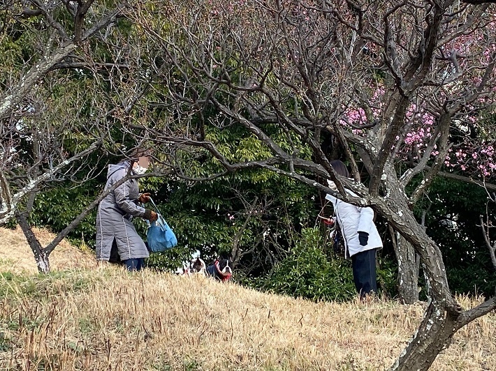 今年に入って・・・。_d0155952_12431848.jpg