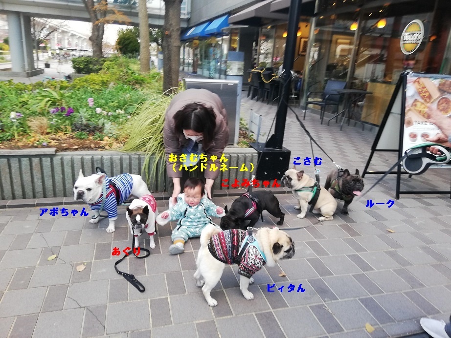 今年に入って・・・。_d0155952_12542385.jpg