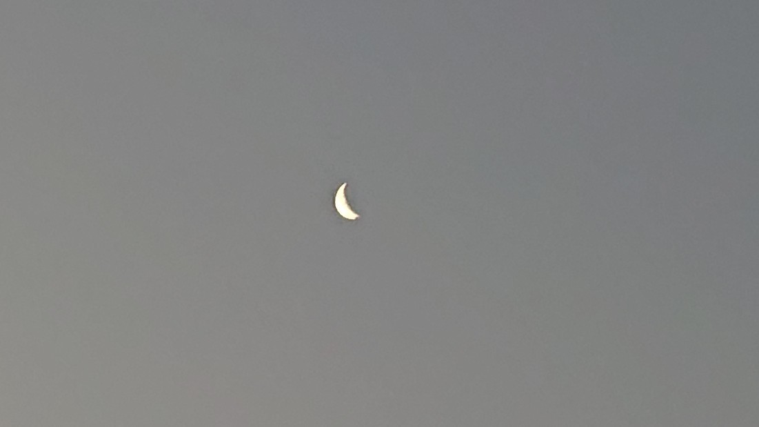 朝・昼・夜の循環と【清浄】***_e0290872_09142837.jpg