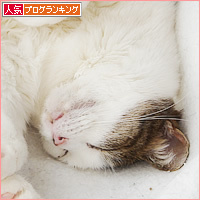 至福の寝顔_a0389088_18002866.jpg