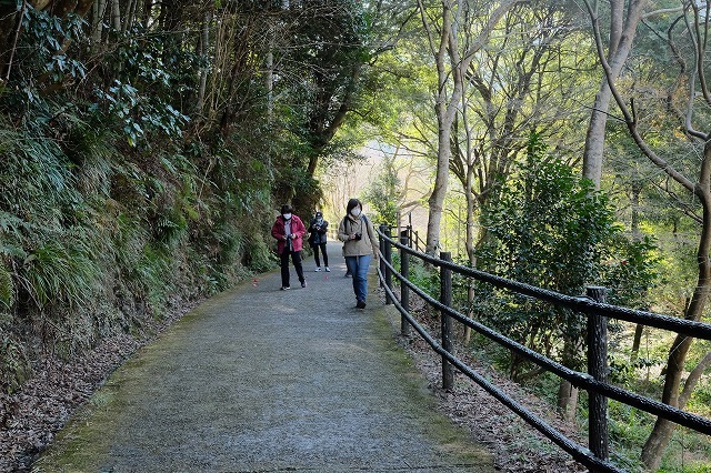 河津桜とペリーロード_f0221724_09454349.jpg