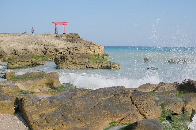 河津桜とペリーロード_f0221724_10073865.jpg