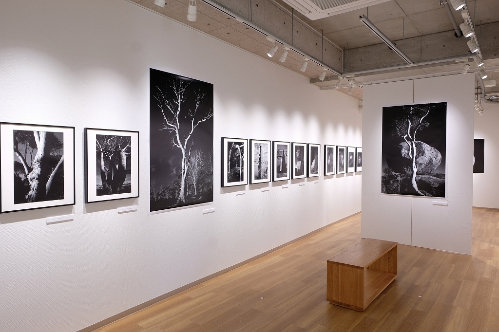 コロナ禍の写真展　写真を見るもの_f0050534_08420843.jpg