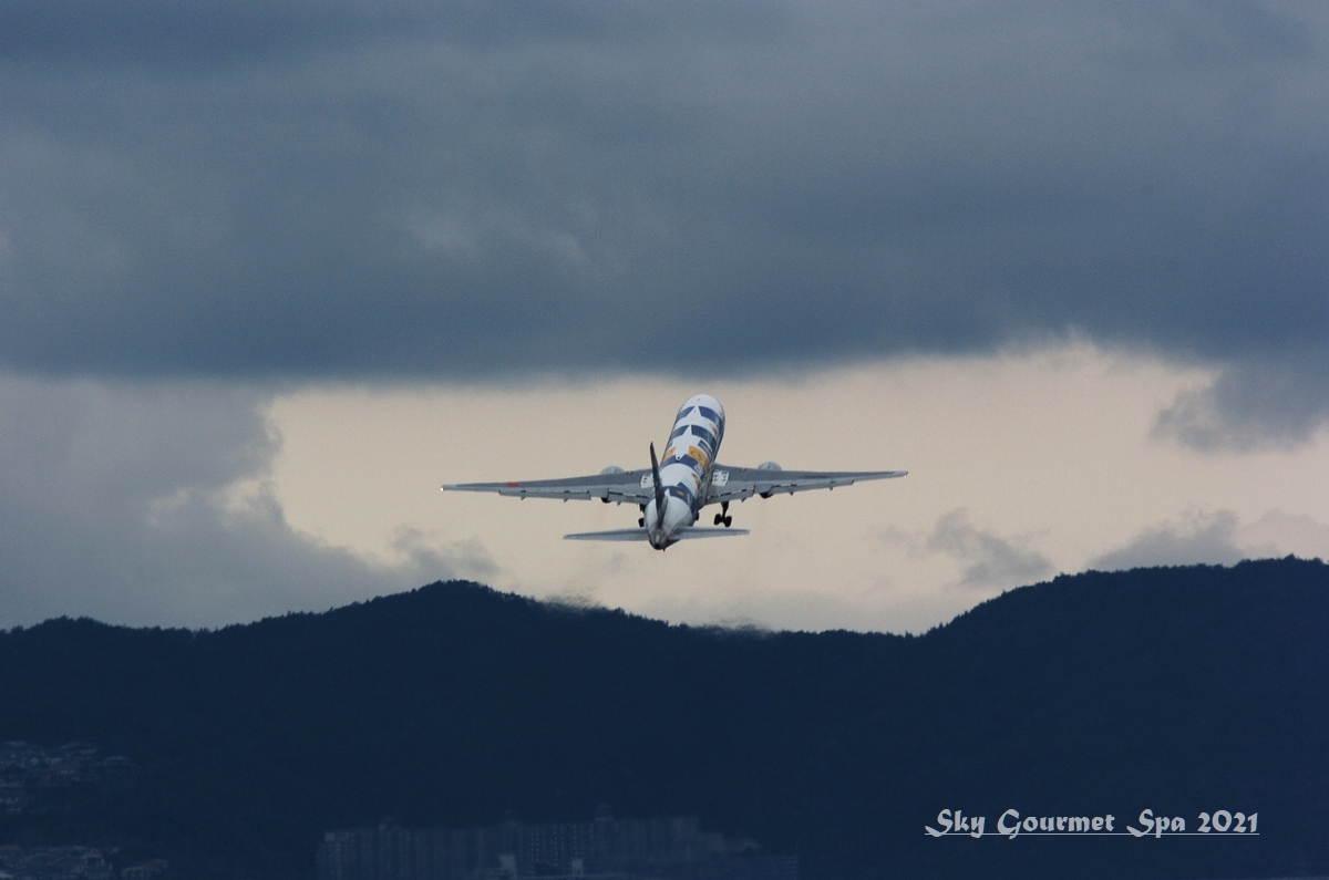 ◆ もう会えない飛行機たち、その43 「暗雲に向かって」（2021年2月）_d0316868_22370971.jpg