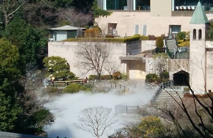 目白台　イルテアトロ　誕生日ランチ_a0264383_16014486.jpg