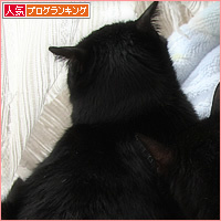 膀胱麻痺とつきあう_a0389088_14572736.jpg