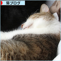 膀胱麻痺とつきあう_a0389088_14572823.jpg