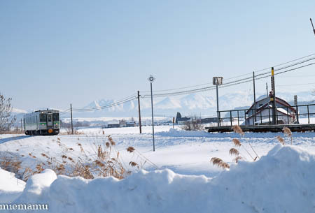 雪景色と美瑛からの列車~1月_d0340565_20204040.jpg