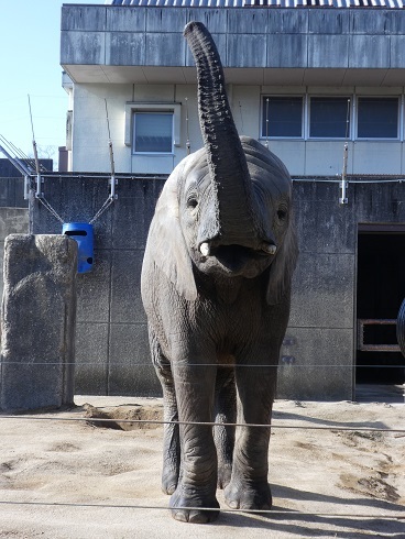 家族のカタチ。　みんな、愛が欲しい！_e0272869_14530025.jpg