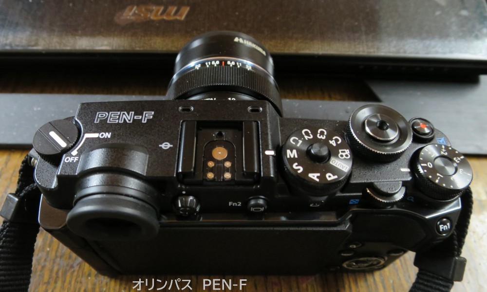 OLYMPUS XA マニュアルフォーカス　作例付き OLYMPUS XA マニュアルフォーカス 作例付き - メルカリ