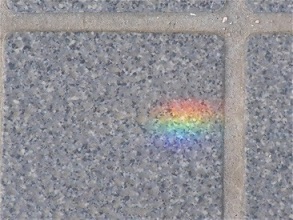光の春の小さなプレゼント_e0175370_09222120.jpg