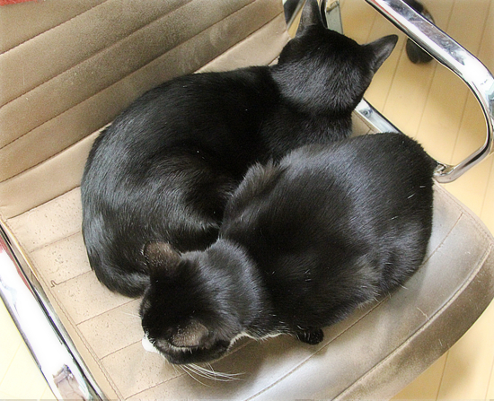 兄弟一緒でよかった_a0389088_20424076.jpg