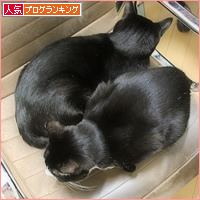 兄弟一緒でよかった_a0389088_20424110.jpg