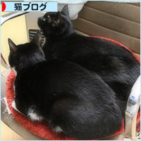 兄弟一緒でよかった_a0389088_20424188.jpg