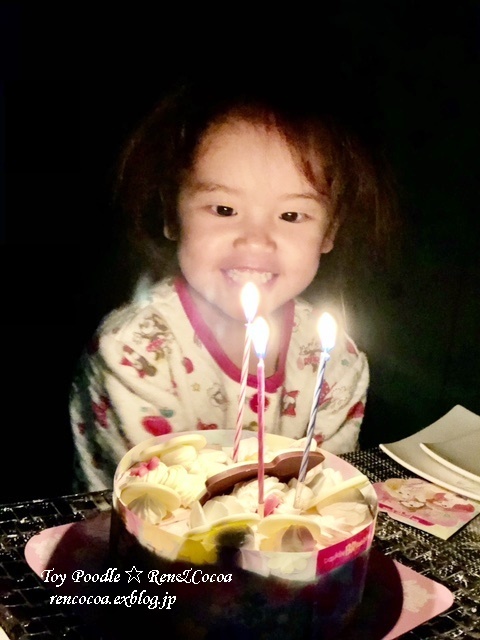 とあ　３歳になりました♪_a0107198_10310744.jpeg