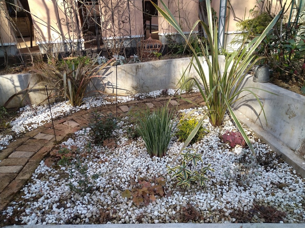 手のかからない庭にちょっと手を入れてみた あけの秘密の花園 手のかからない庭にちょっと手を入れてみた あけの秘密の花園