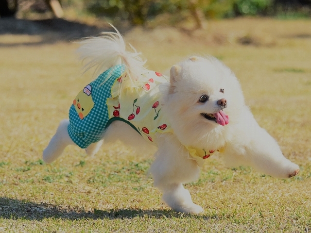 増えない写真_d0360206_23534456.jpg