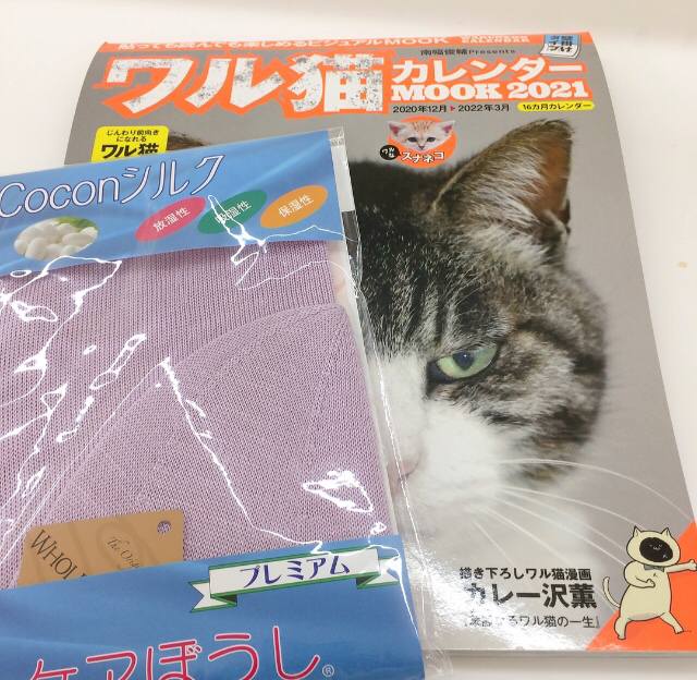 抗がん剤 完走_e0374912_11372522.jpg