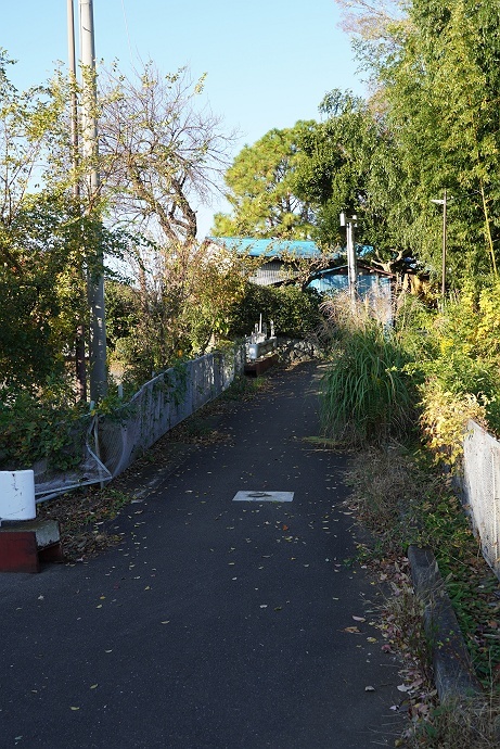 渋沢丘陵歩き（秦野駅から震生湖へ）　その5_c0196928_10124351.jpg