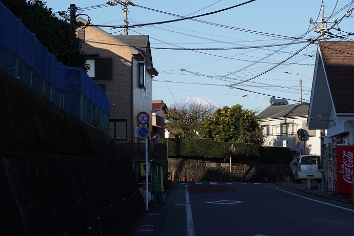 渋沢丘陵歩き（秦野駅から震生湖へ）　その5_c0196928_10143157.jpg