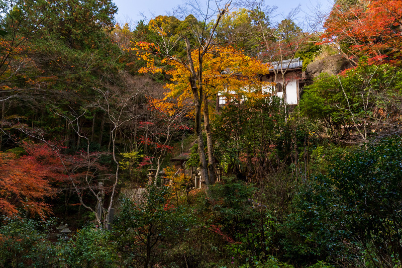 2020紅葉きらめく滋賀　不動寺晩秋_f0155048_22140268.jpg