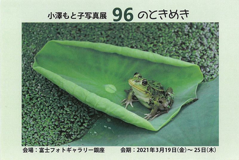 小澤もと子写真展「96のときめき」（東京）_c0142549_17485805.jpg