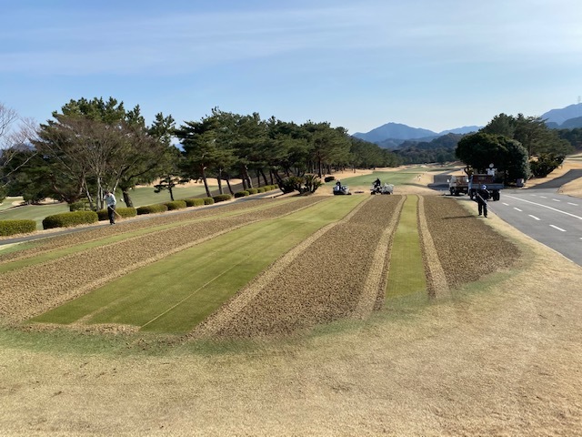 穴があきました_b0173852_17250411.jpg