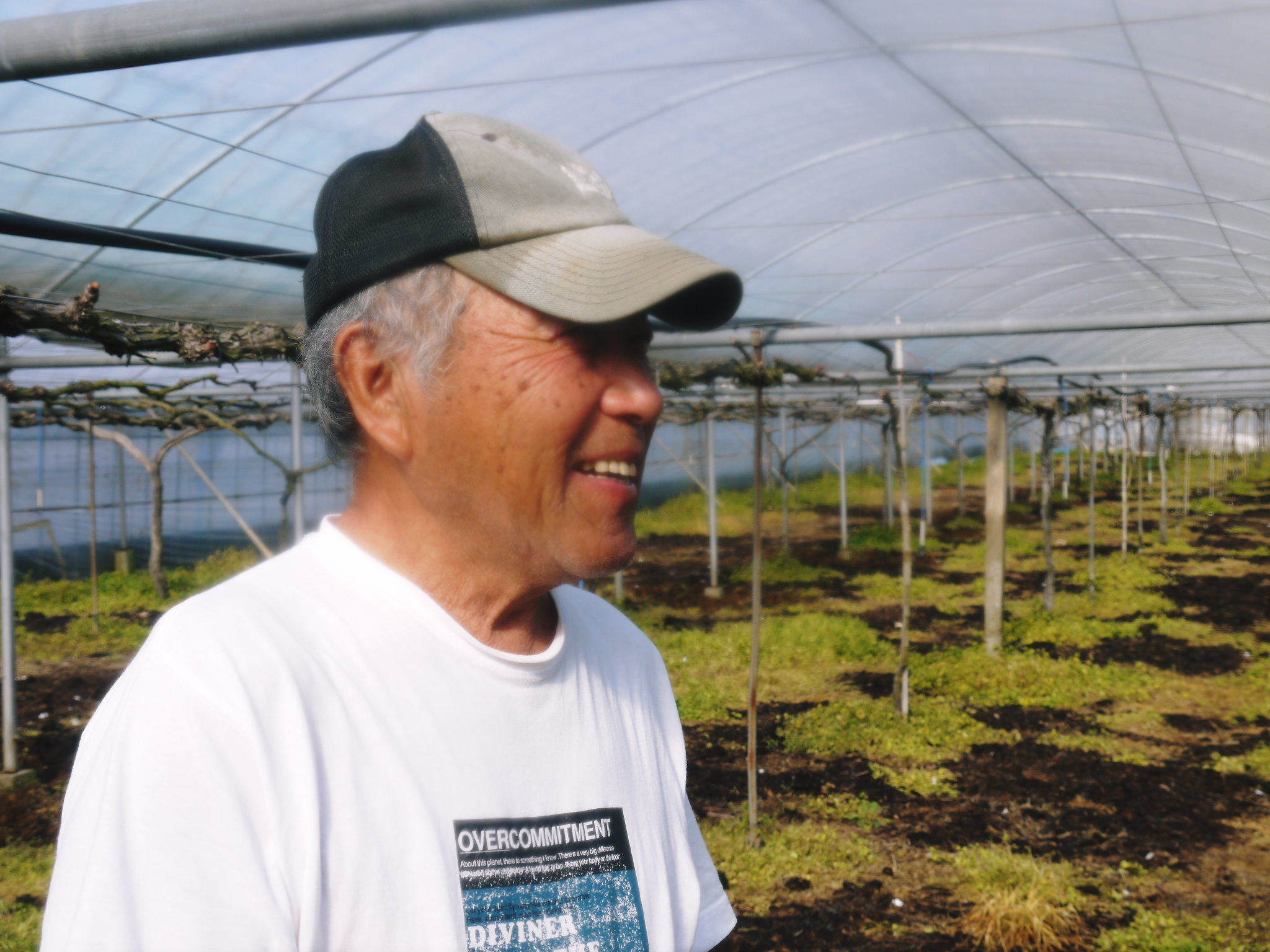 熊本ぶどう 社方園 剪定作業2021 昨年実らせた結果枝を剪定し新たな結果枝を芽吹かせます_a0254656_17040535.jpg