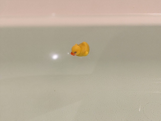 高城加世子さんの作品オンラインショップにアップしました_b0322280_22034151.jpg