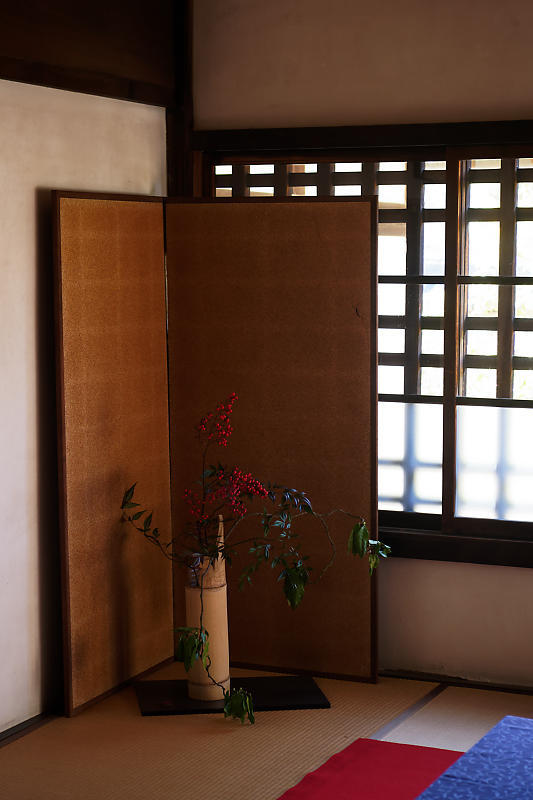 早春の花巡り 有楽椿@等持院_f0032011_19320682.jpg