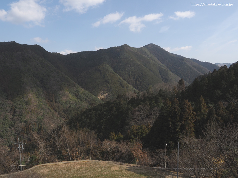 福寿草 2021_c0189013_22280210.jpg