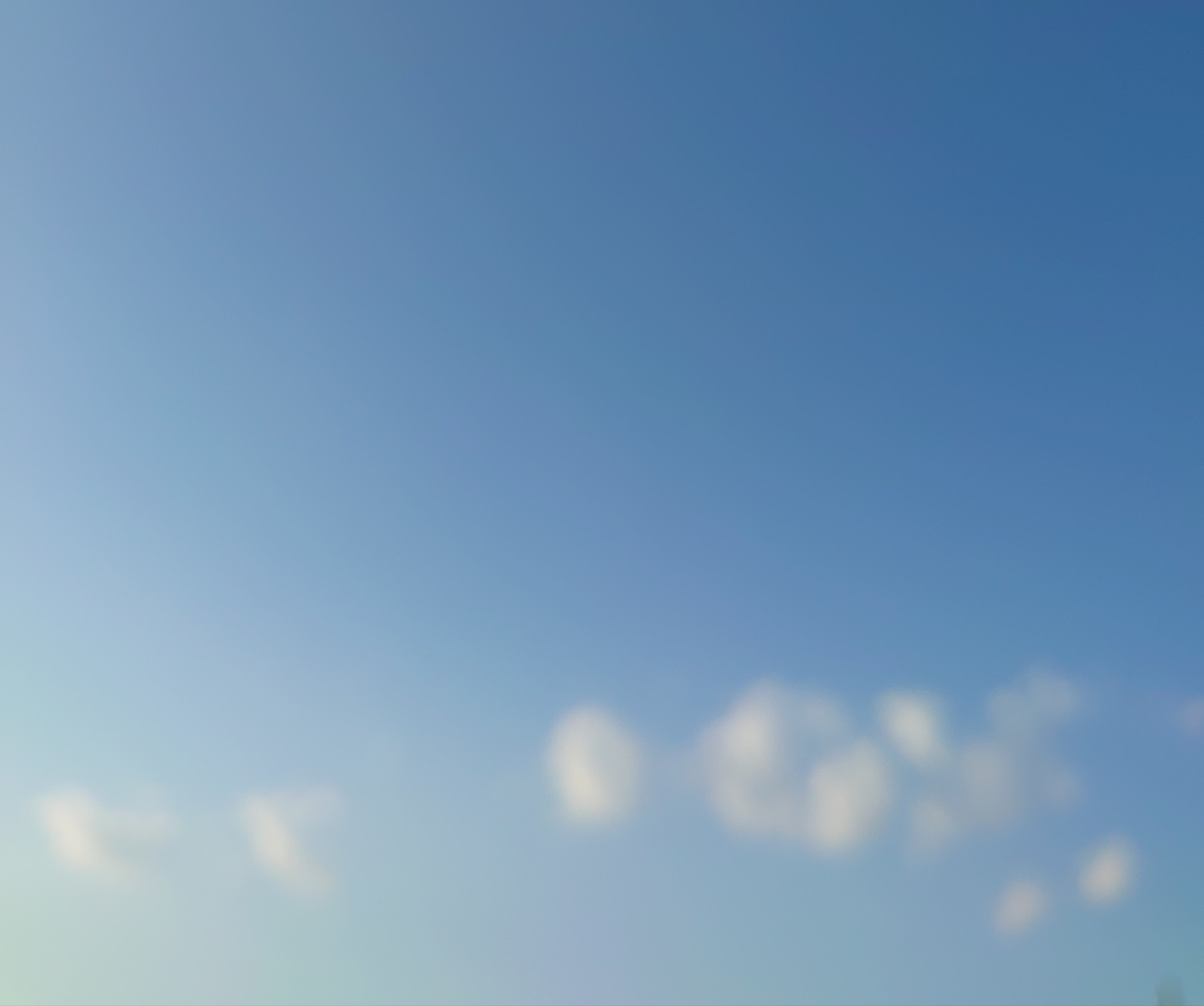 ポワポワ雲と飛行機雲 ピオニーの森