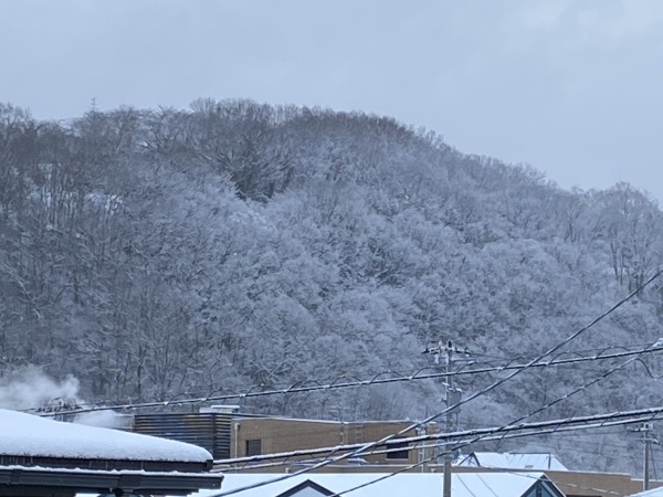 子供 そして 孫_b0097729_00091660.jpeg