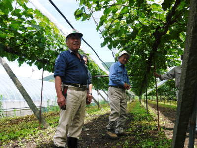 熊本ぶどう　社方園　匠の温度と水管理で冬眠からの目覚め動き出しました！_a0254656_17163177.jpg